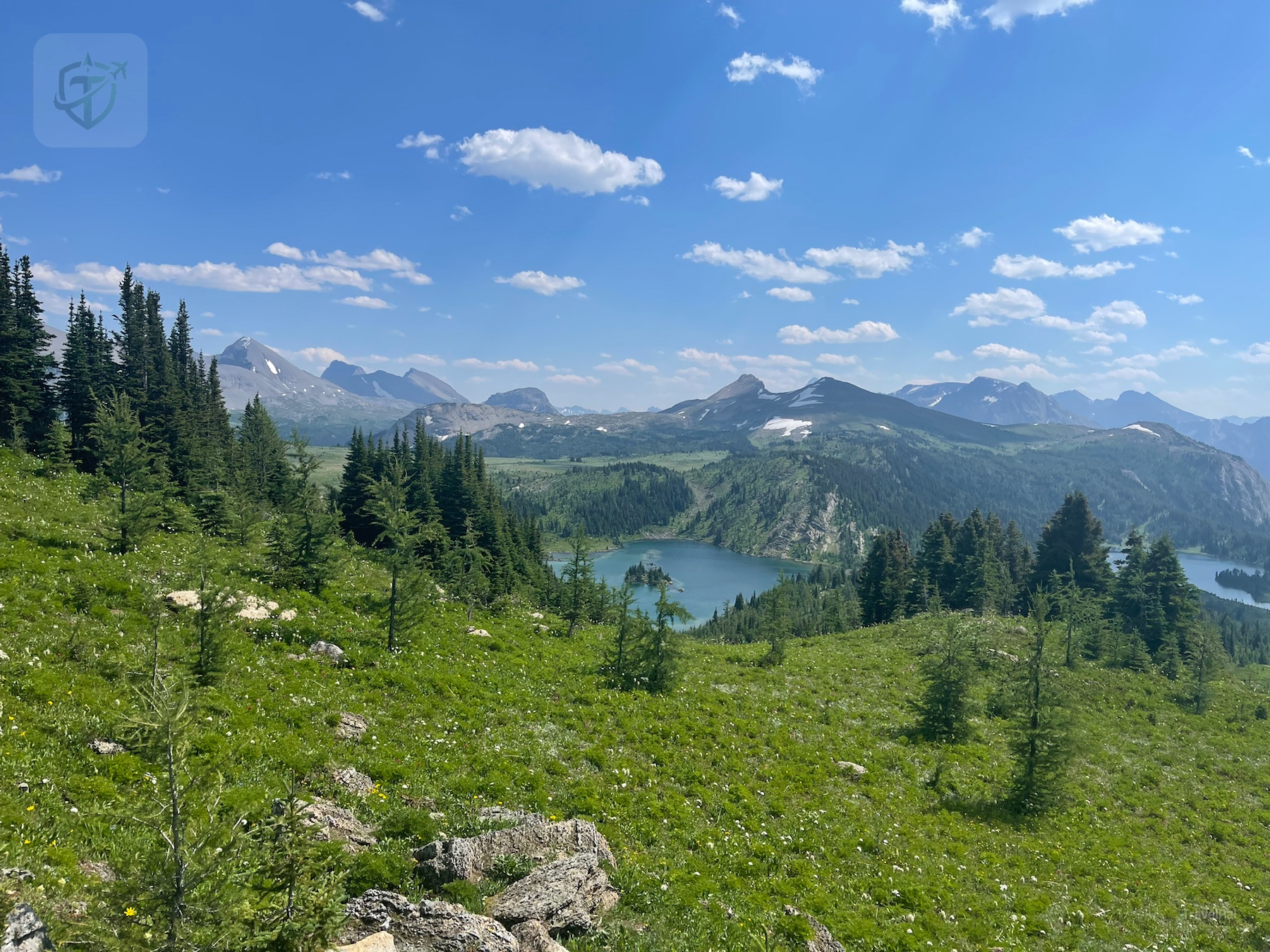 Green alpine meadow with wildflowers, young trees, and mountain views at Sunshine Meadows