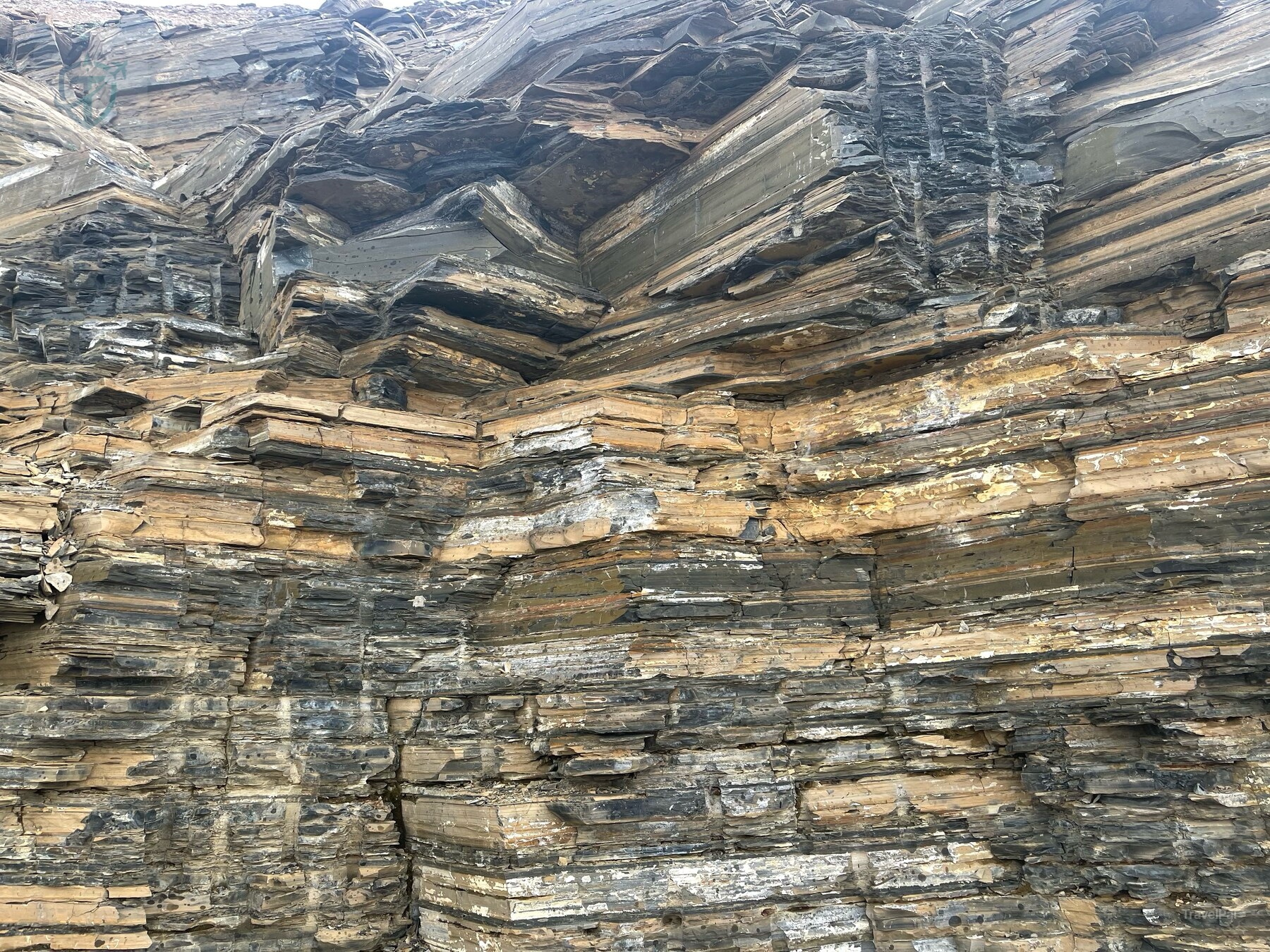 Closely folded horizontal layers of Burgess Shale rock