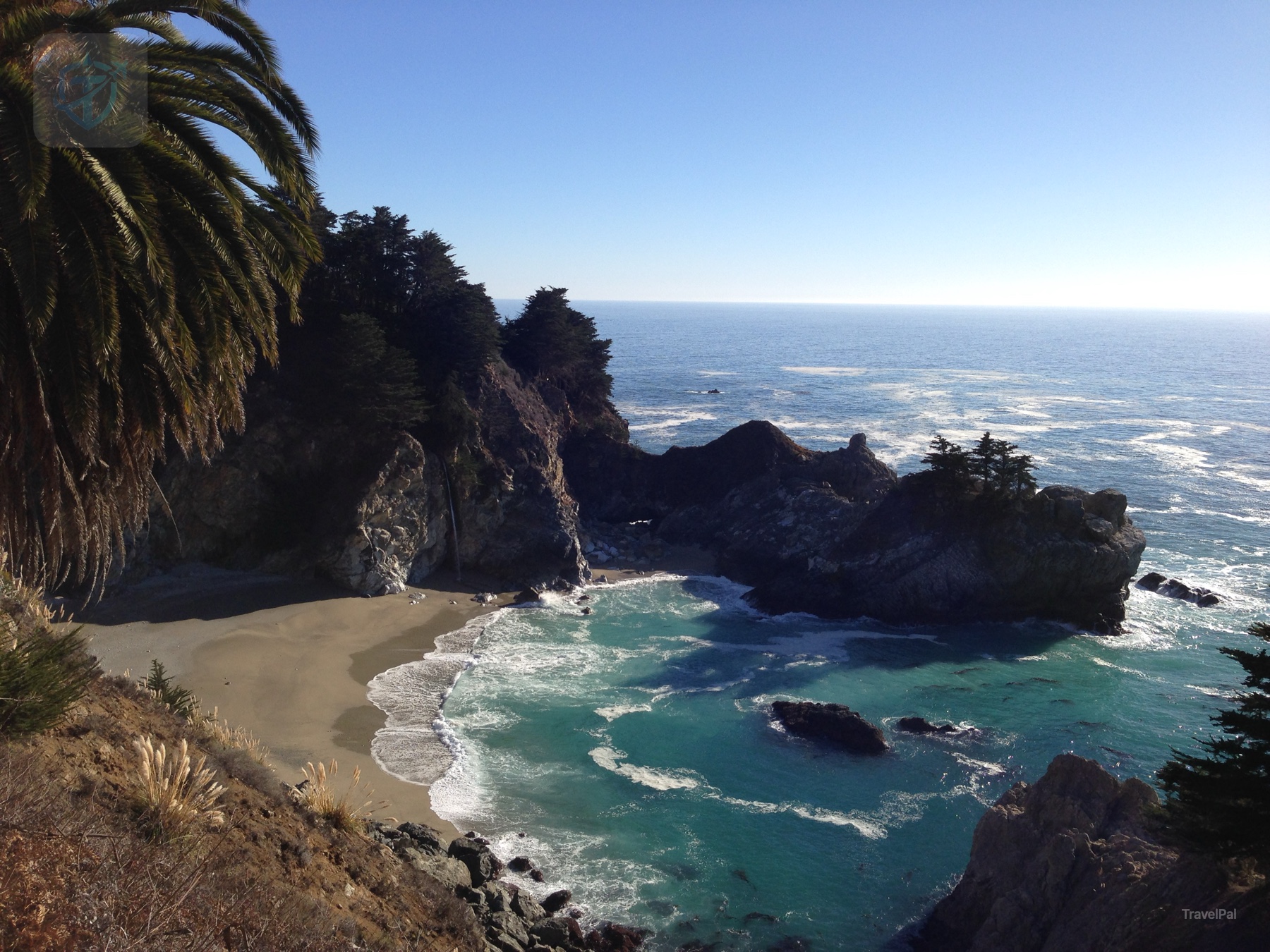 Small sandy cove framed by a palm tree and rocky California headland