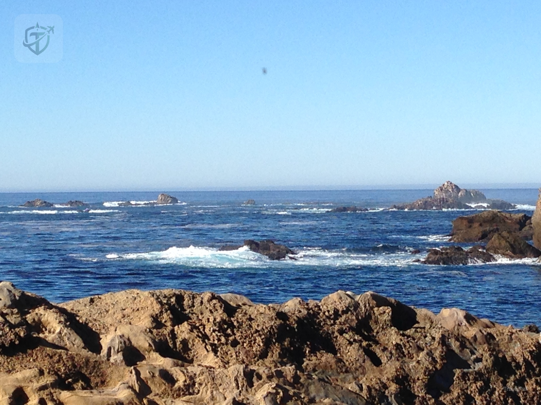 Jagged rocks and white surf along the Big Sur shoreline
