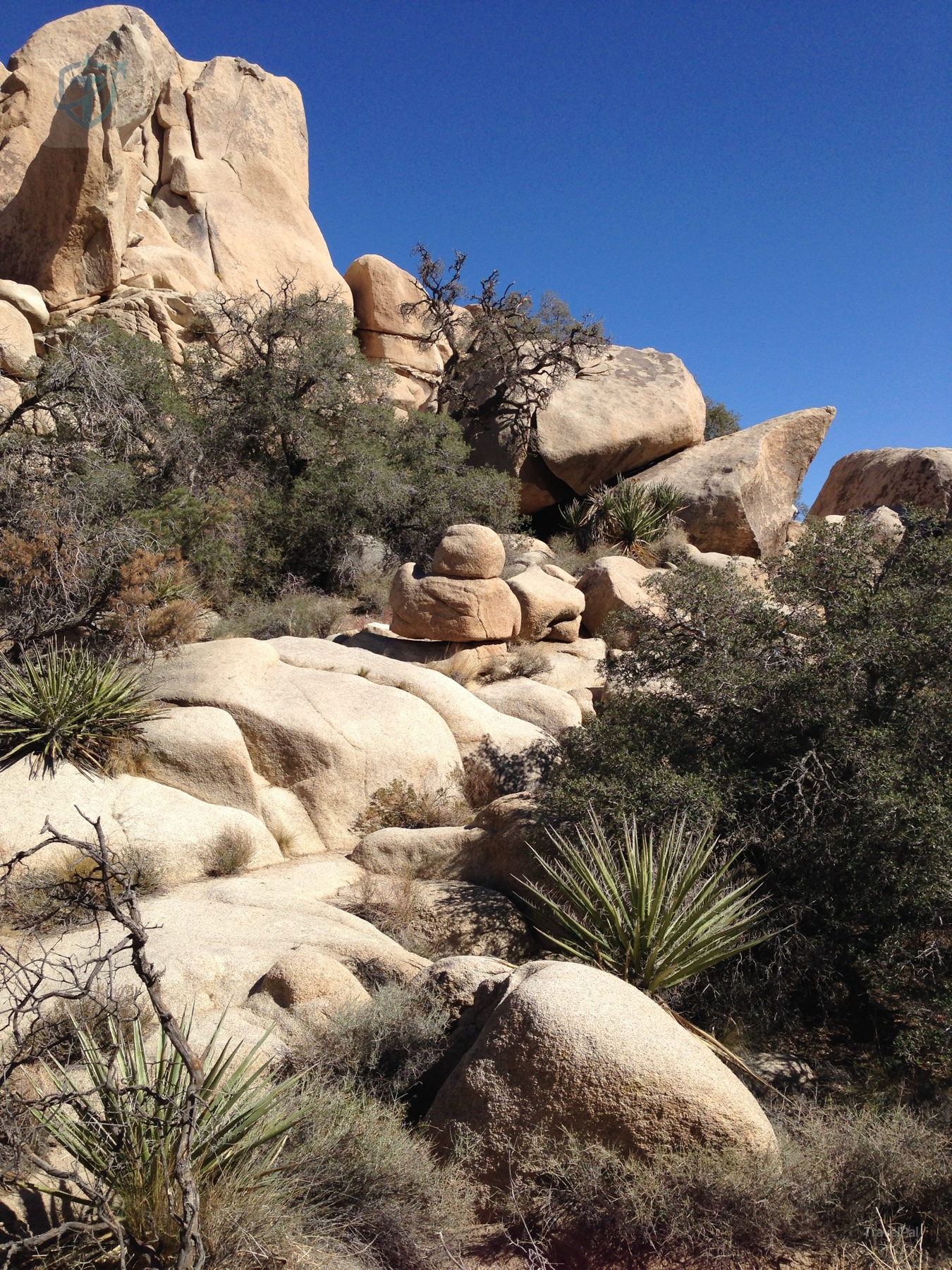 Tall rounded granite blocks above a small pile of balanced rocks and spiky desert plants