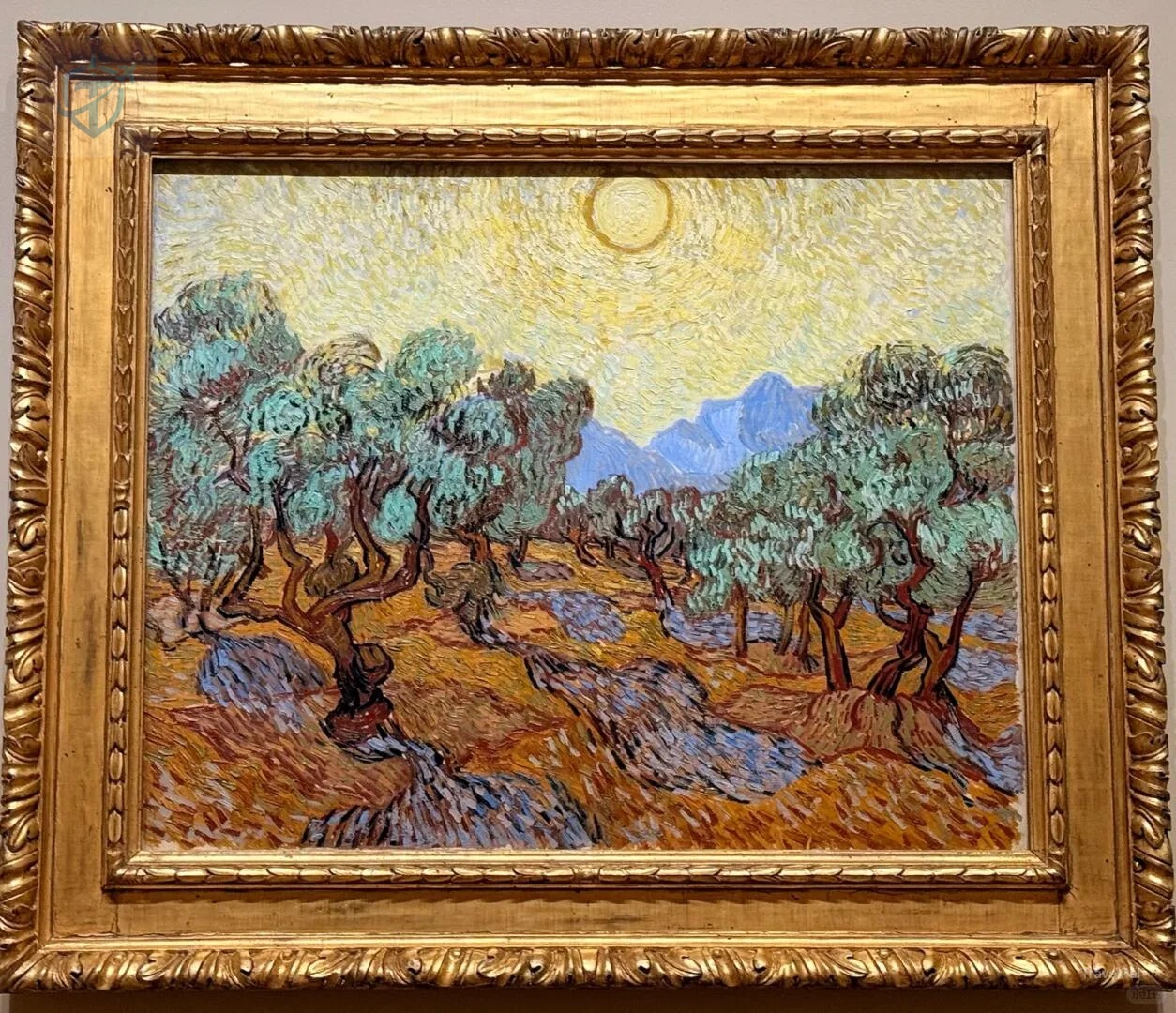 Vincent van Gogh's Olive Trees painting in a gold frame at Mia