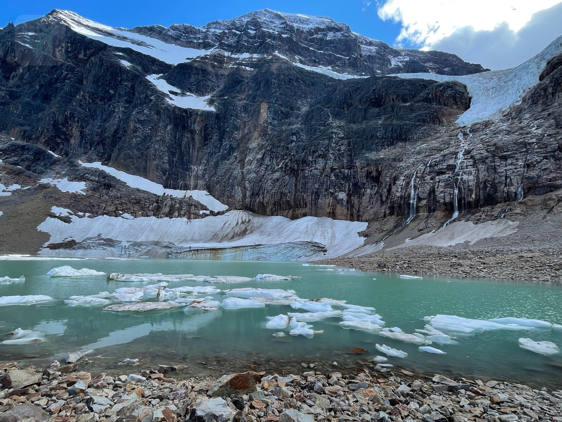 Cavell Glacier above a pale turquoise meltwater lake with floating ice