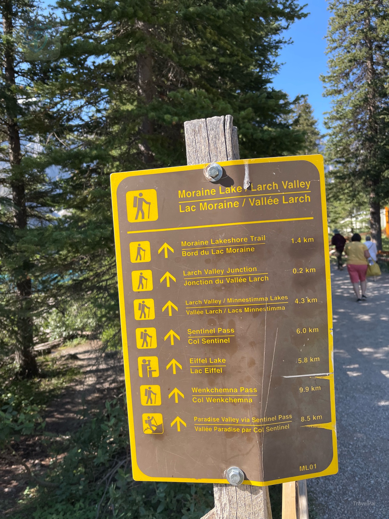 Yellow trail sign showing routes from Moraine Lake toward Larch Valley and Sentinel Pass