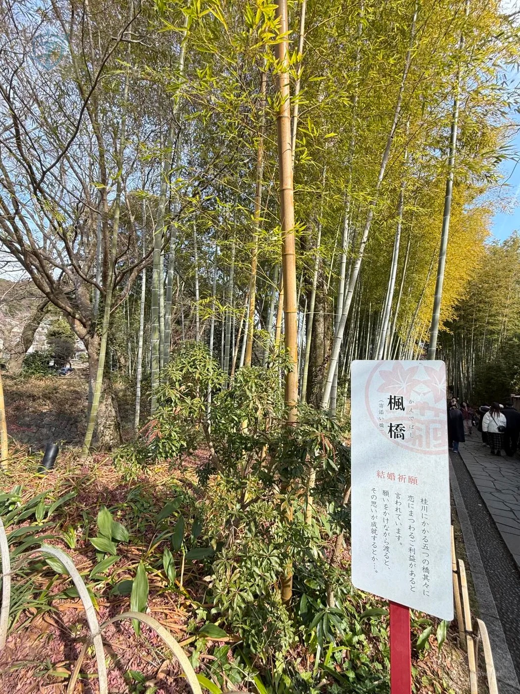 Bamboo path in Shuzenji