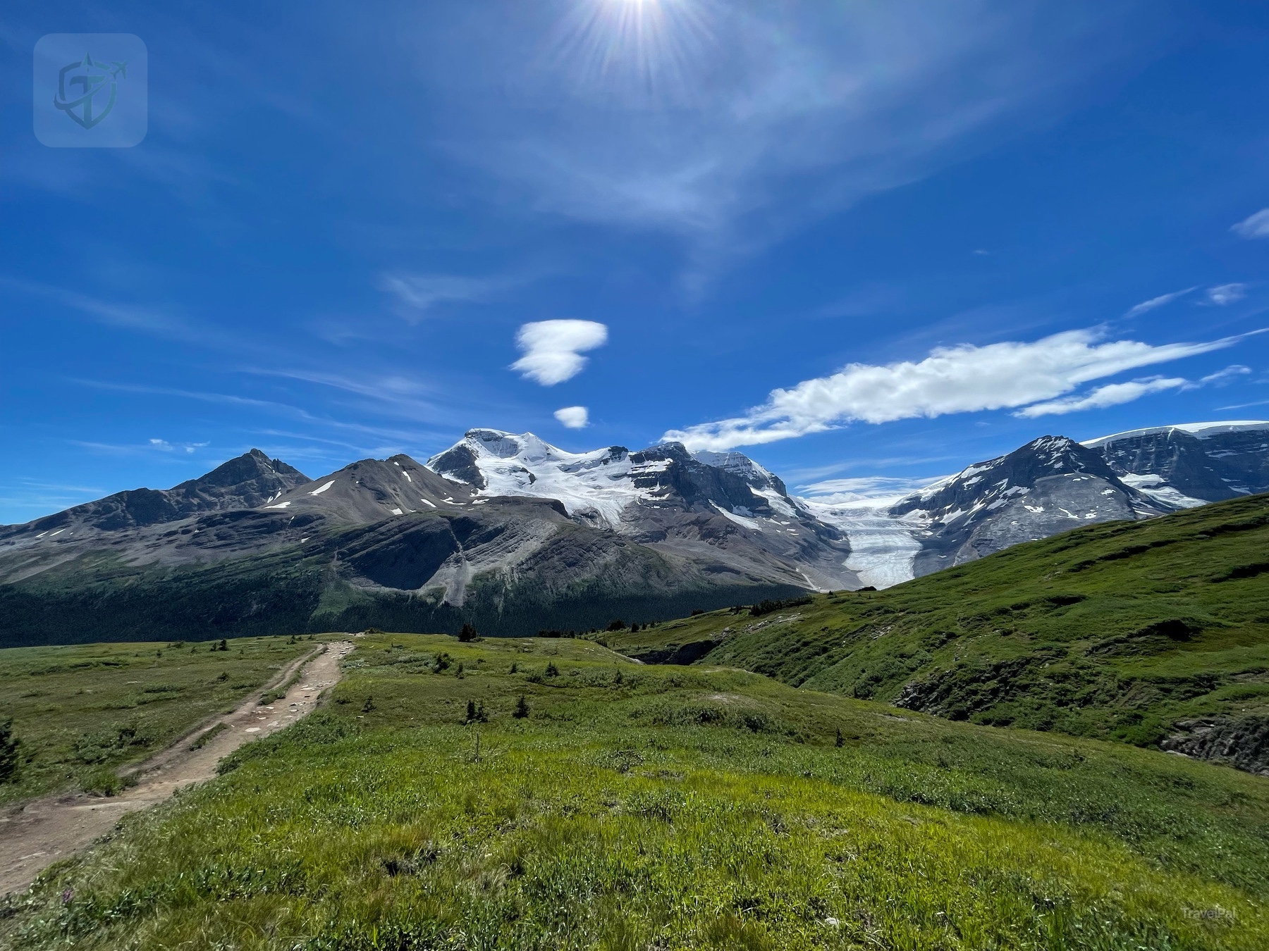 A narrow trail crossing a green alpine slope beneath snow-capped peaks at Wilcox Pass