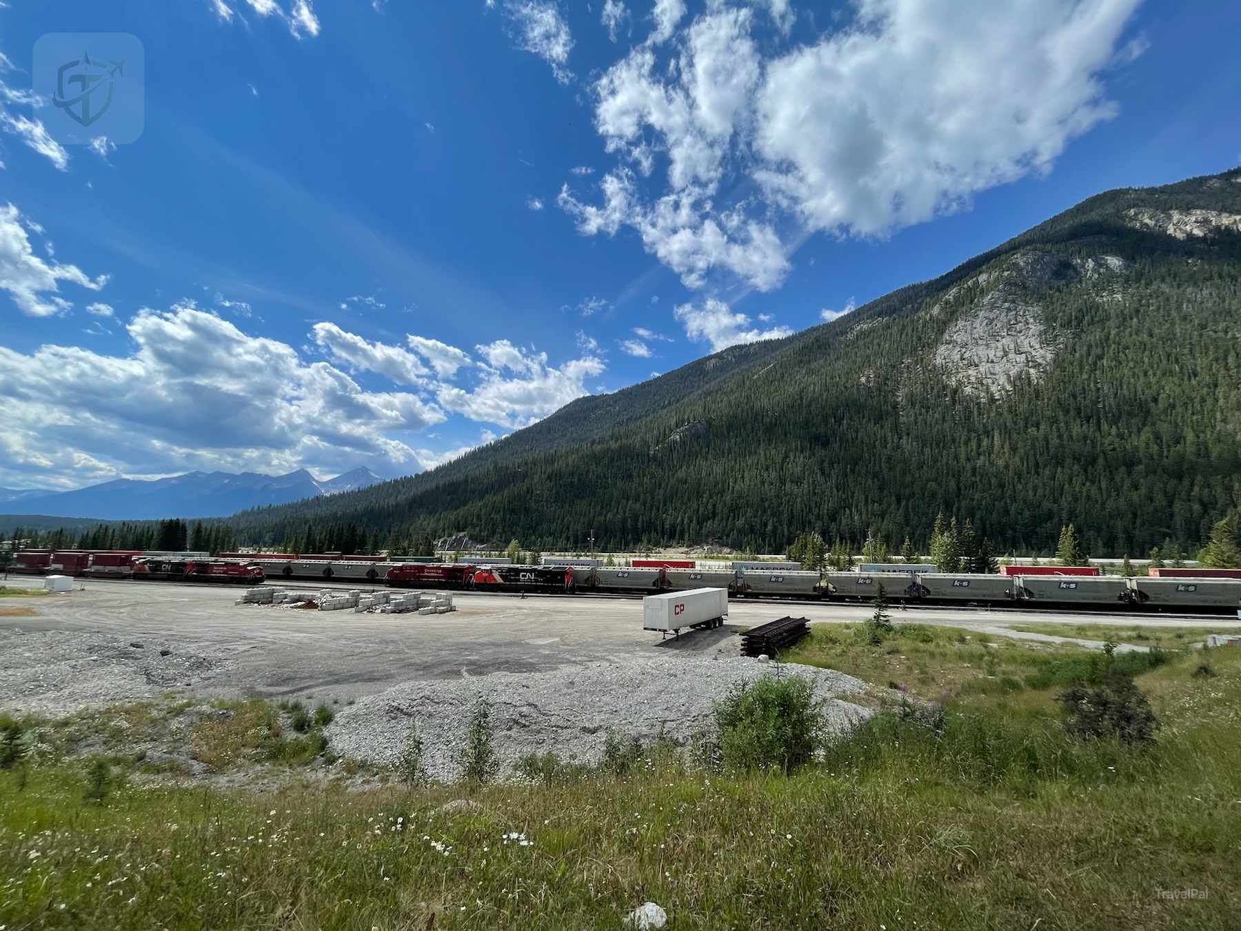 Freight trains passing through the Yoho landscape near Field with a forested mountain behind