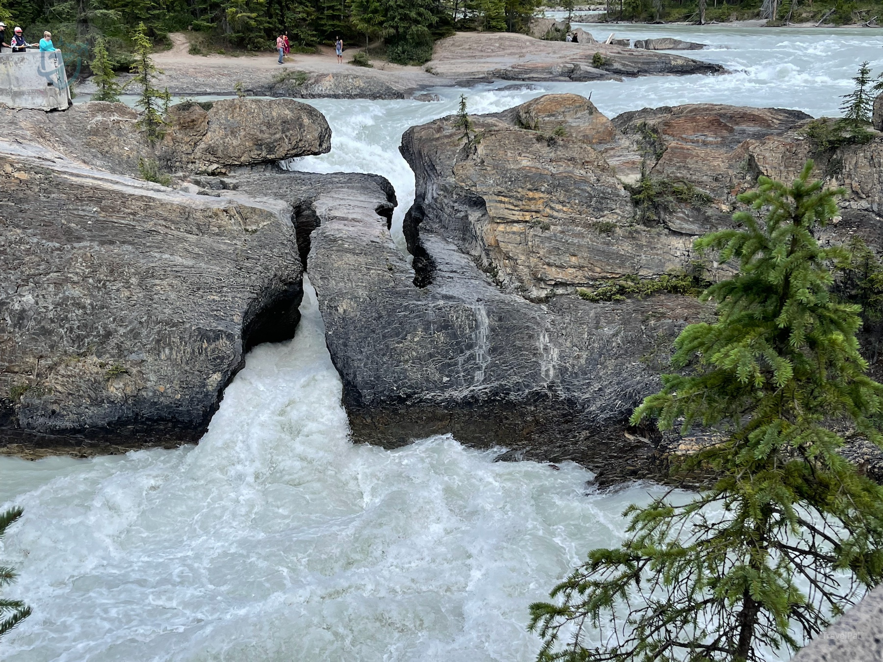Milky blue water rushing through the split rock at Natural Bridge in Yoho National Park
