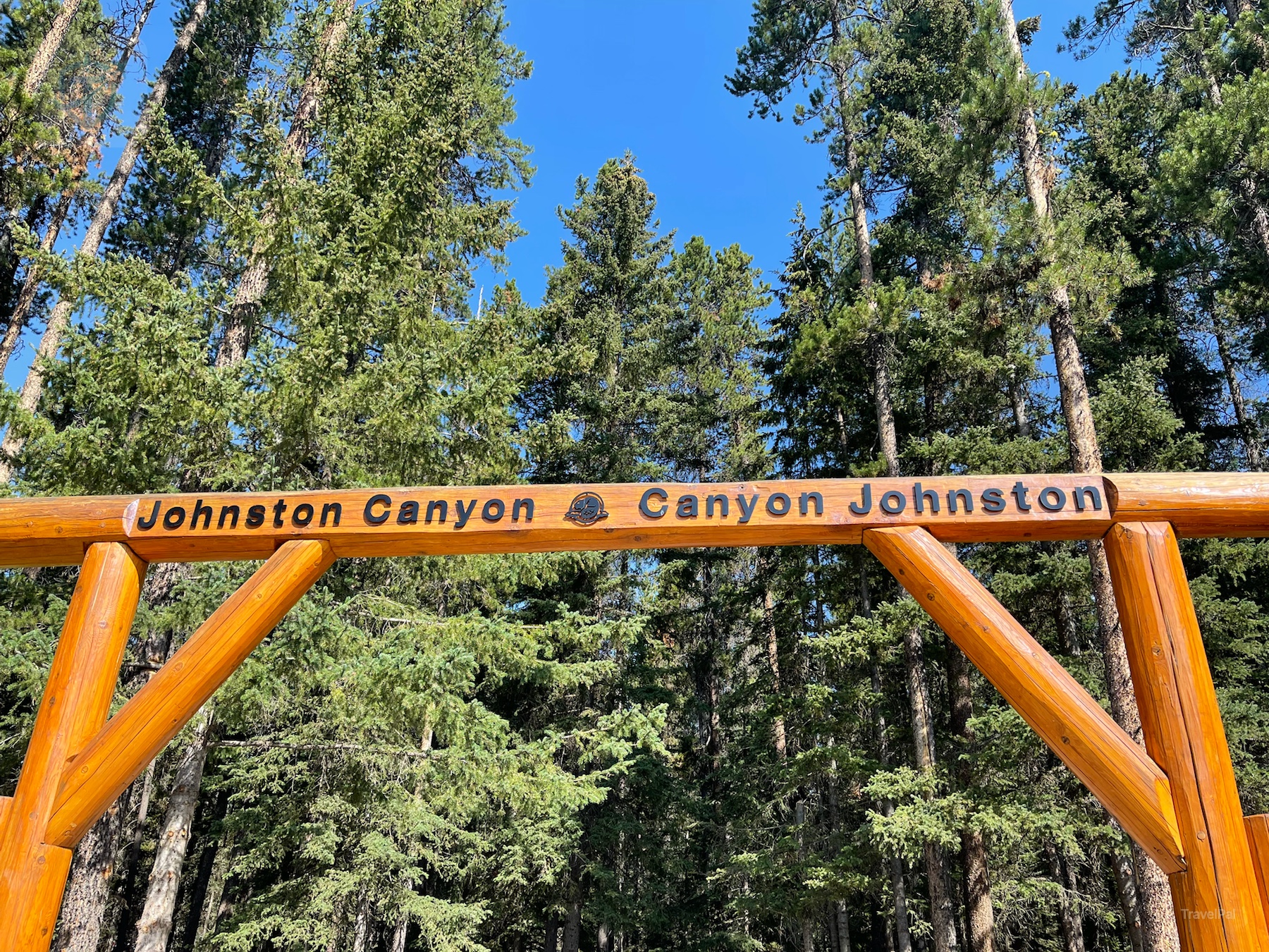 Wooden Johnston Canyon entrance sign beneath tall evergreen trees
