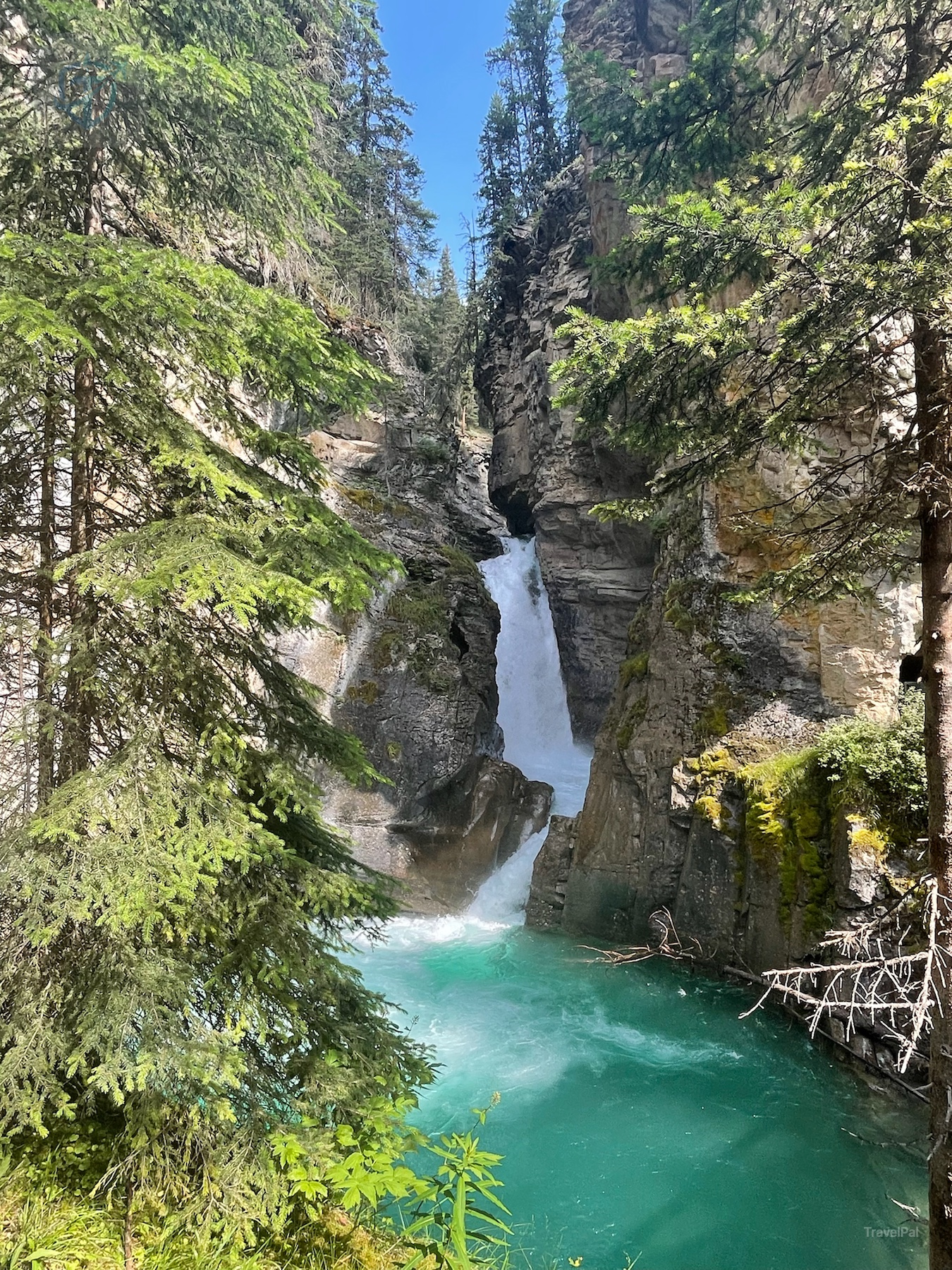 Johnston Canyon Upper Falls dropping into a vivid turquoise pool beneath evergreen trees